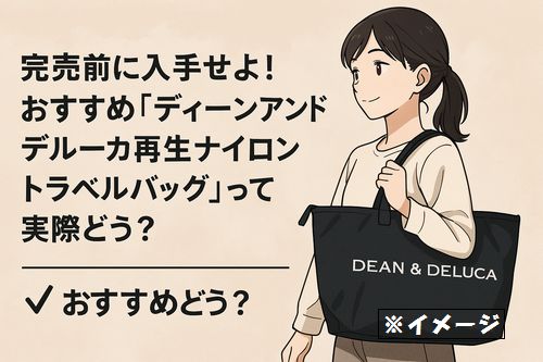 DEAN & 目指せ DELUCAトラベルバッグ 再生ナイロンブラック✨2025