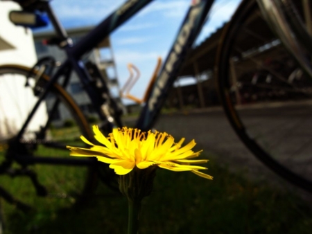 f:id:awg-9:20090531222944j:image