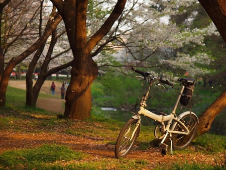 f:id:awg-9:20090606005031j:image