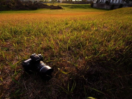 f:id:awg-9:20090612102613j:image