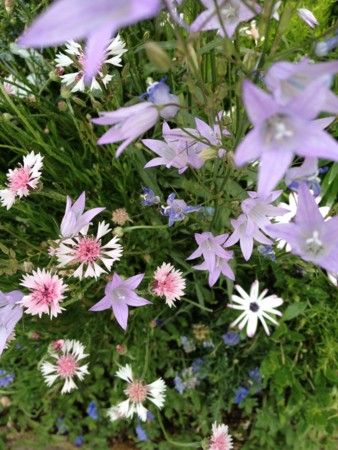f:id:awosan:20120513150334j:image:w360