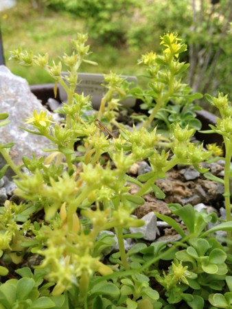 f:id:awosan:20120513151145j:image:w360