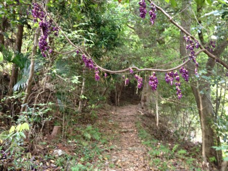 f:id:awosan:20120513155018j:image:w360