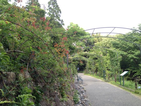 f:id:awosan:20120513155213j:image:w360