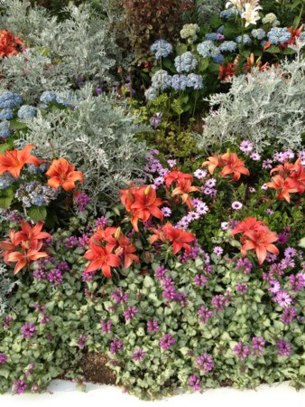 f:id:awosan:20120513155505j:image:w360