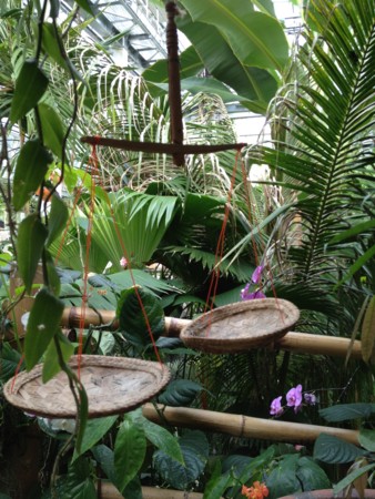 f:id:awosan:20120513160544j:image:w360