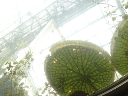 f:id:awosan:20120513161033j:image:w360