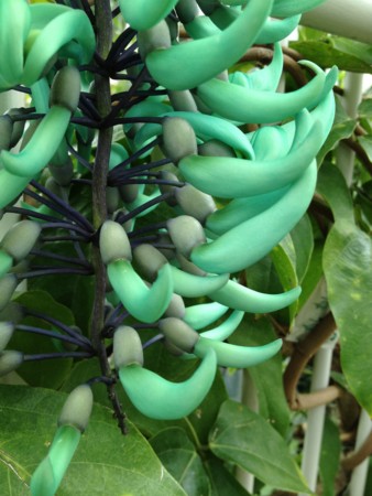 f:id:awosan:20120513161542j:image:w360