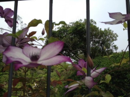 f:id:awosan:20120513162042j:image:w360