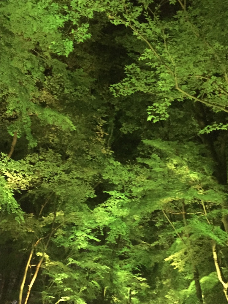 f:id:ax3234j:20180831111741j:image f:id:ax3234j:20180831111741j:image