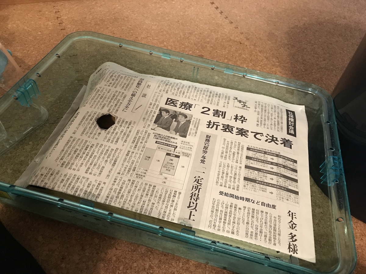 もっちぃ様確認用 ハムスター 地下型 巣箱 (検 ルーミィ グラス もっちぃ様確認用 ハムスター 地下型 巣箱 (検 ルーミィ グラス
