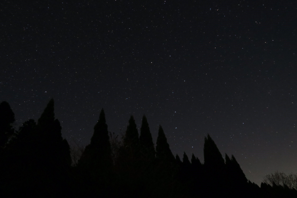 f:id:axaka123:20161215232832j:plain f:id:axaka123:20161215232832j:plain