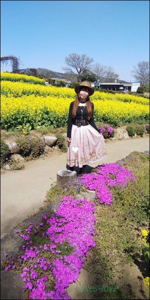 f:id:axes-love:20190406230420j:plain