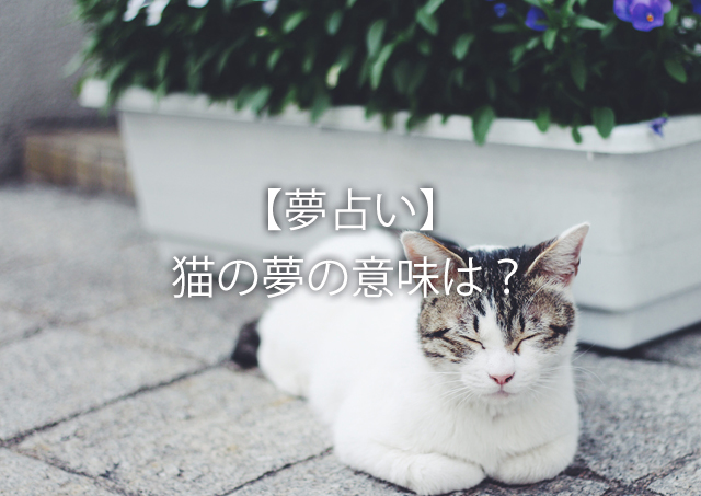 公園 猫 拾う - Aickmandata.com