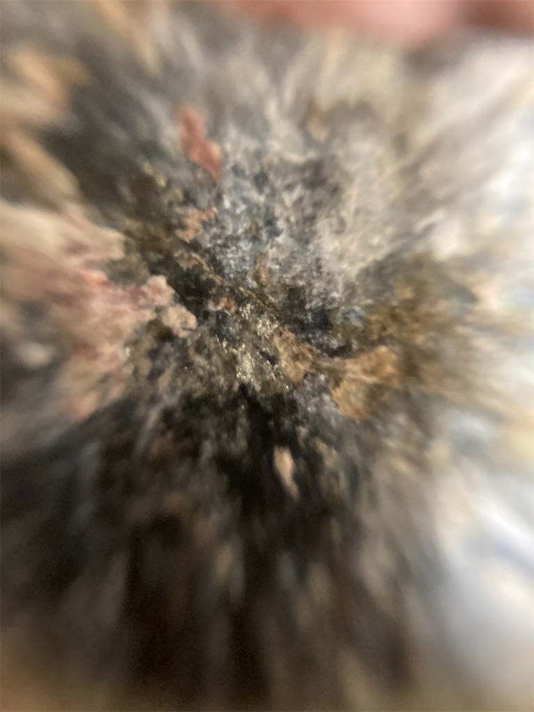 f:id:axinite:20230414124442j:image