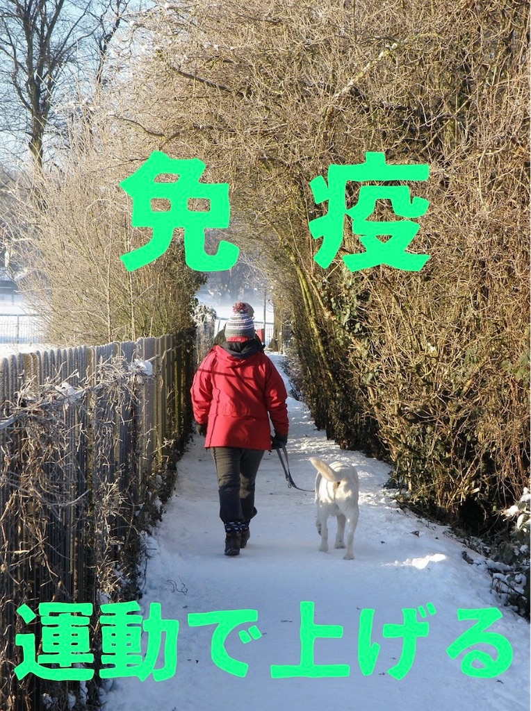 f:id:axis-tr:20251212164506j:image