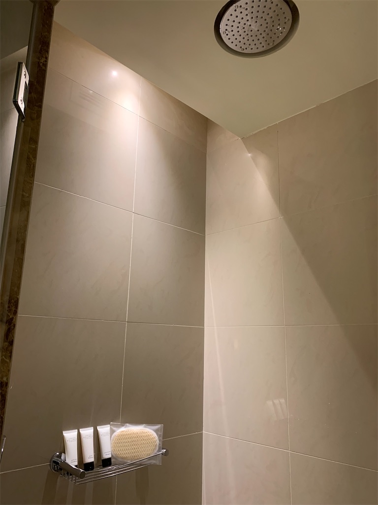 f:id:axpyon:20210729010631j:image