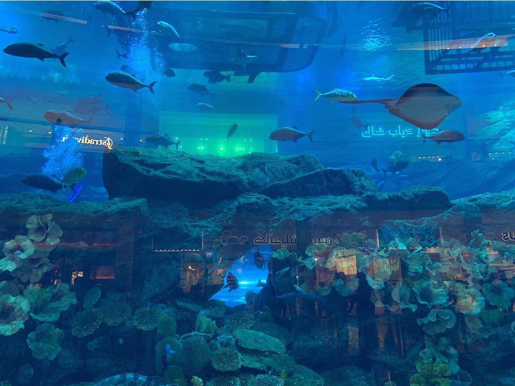 f:id:axpyon:20210731235716j:image f:id:axpyon:20210731235716j:image