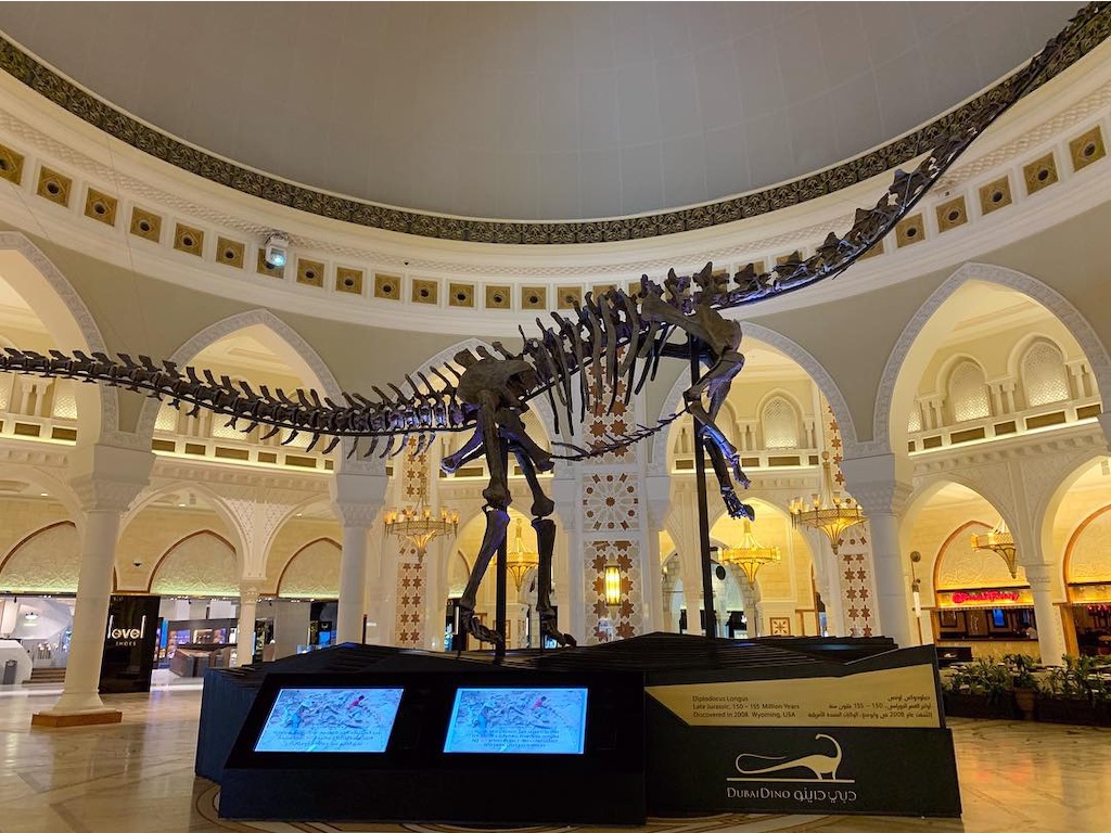 f:id:axpyon:20210731235724j:image f:id:axpyon:20210731235724j:image