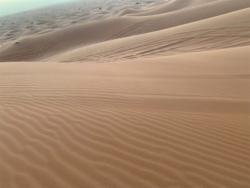 f:id:axpyon:20210804001027j:image f:id:axpyon:20210804001027j:image