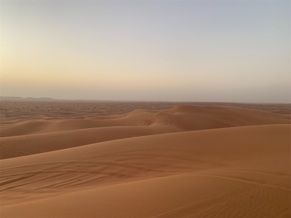 f:id:axpyon:20210804001035j:image f:id:axpyon:20210804001035j:image