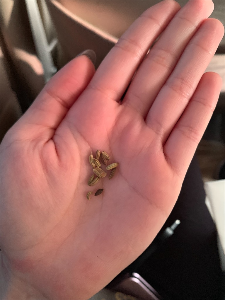 f:id:axpyon:20210804001050j:image f:id:axpyon:20210804001050j:image