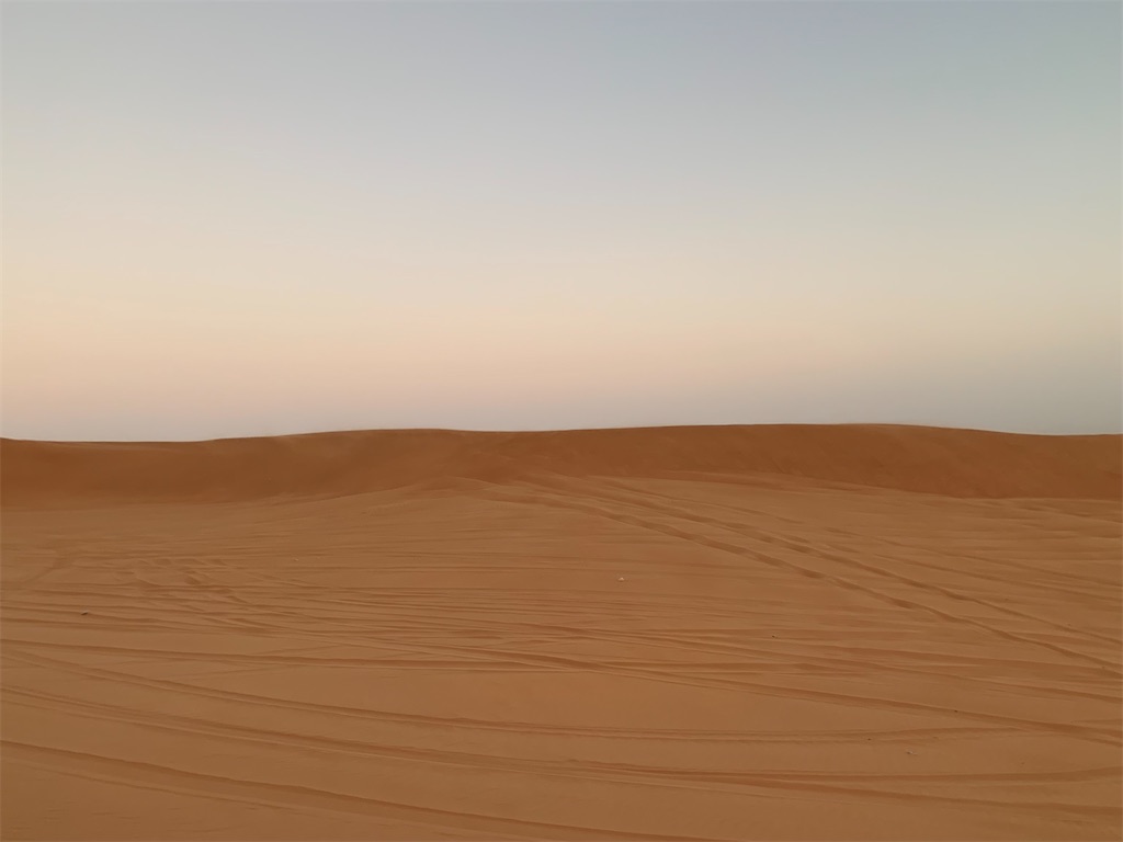 f:id:axpyon:20210804001059j:image f:id:axpyon:20210804001059j:image