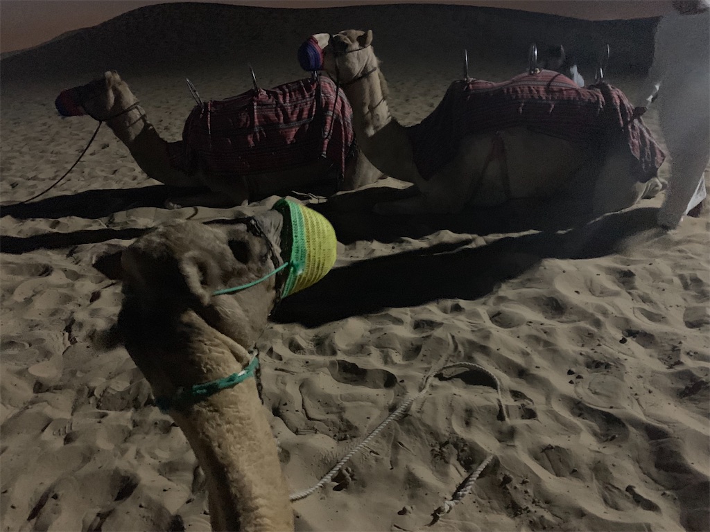 f:id:axpyon:20210804001130j:image f:id:axpyon:20210804001130j:image