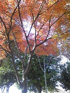 f:id:axset:20101201175605j:image f:id:axset:20101201175605j:image