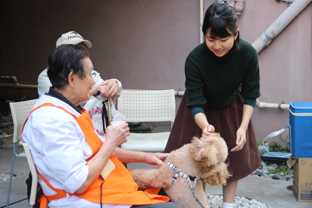 f:id:axtachibana:20190516214033j:plain