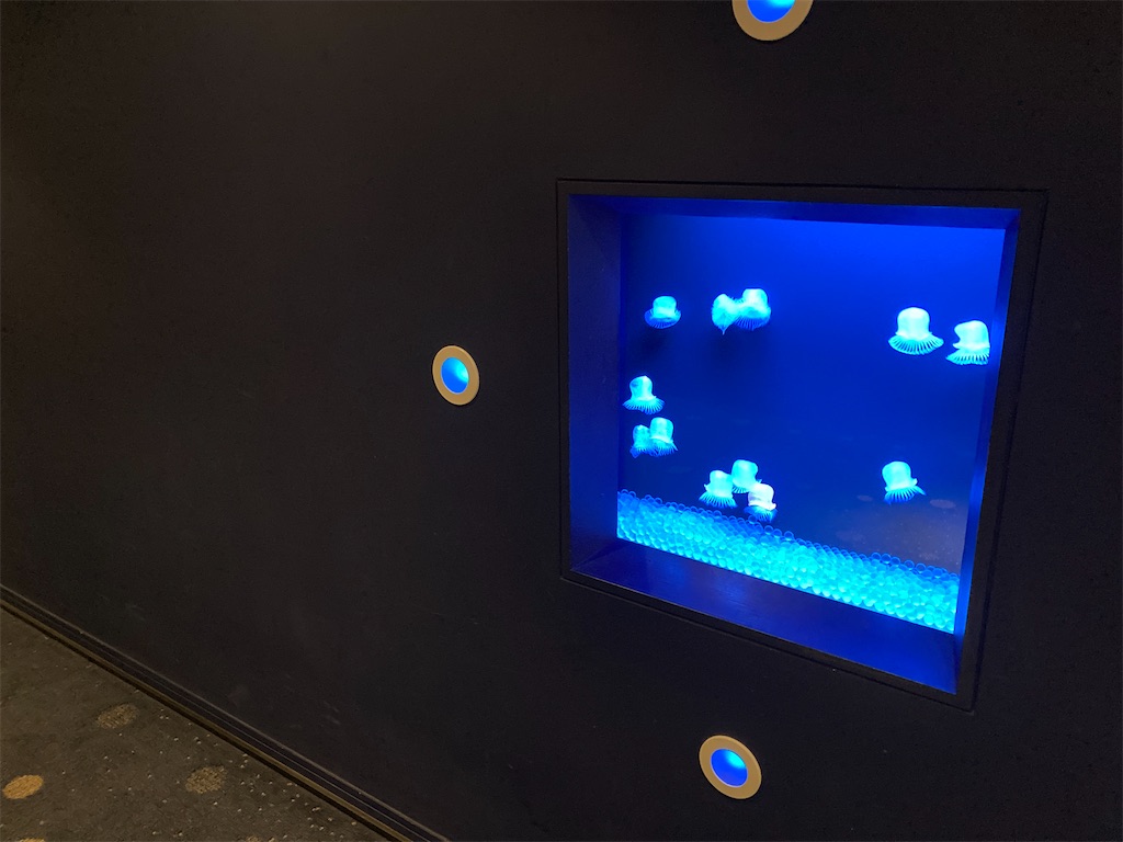 f:id:axxi:20220628174336j:image f:id:axxi:20220628174336j:image