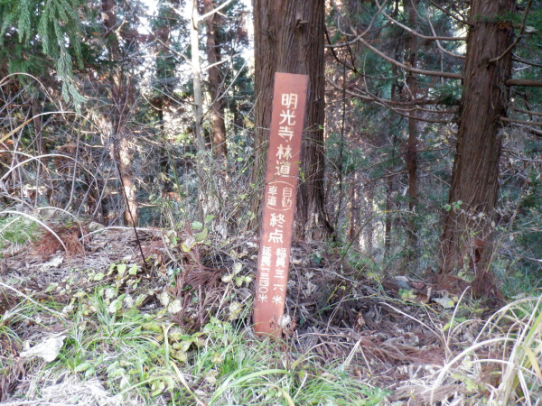 f:id:ay-mk:20211120172626j:plain