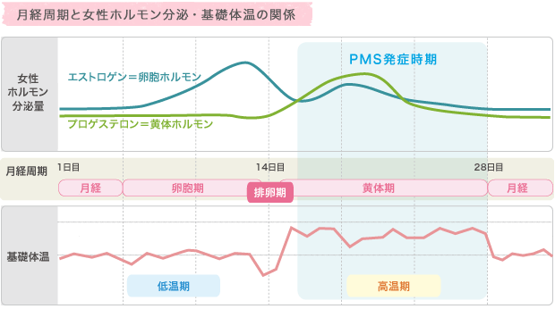 f:id:aya-haseko:20170306123243p:plain f:id:aya-haseko:20170306123243p:plain