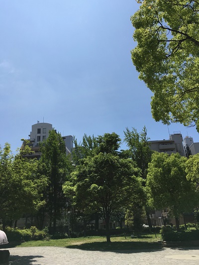 f:id:aya-haseko:20170506091832j:plain f:id:aya-haseko:20170506091832j:plain
