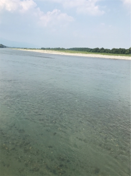 f:id:aya-haseko:20170716203011j:plain f:id:aya-haseko:20170716203011j:plain