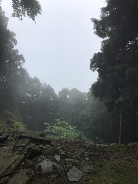 f:id:aya-haseko:20180621171308j:plain f:id:aya-haseko:20180621171308j:plain