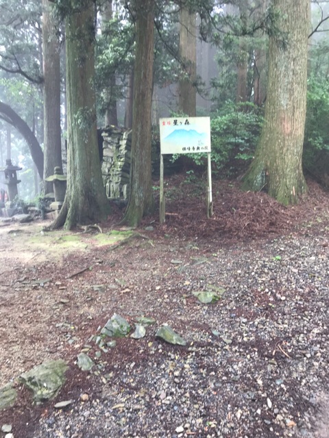 f:id:aya-haseko:20180621171335j:plain f:id:aya-haseko:20180621171335j:plain