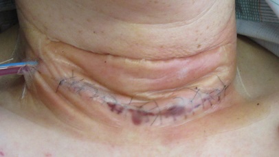 f:id:aya-mama-manmaru:20190916193348j:plain f:id:aya-mama-manmaru:20190916193348j:plain