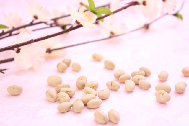 f:id:aya-sato:20190211224312j:plain f:id:aya-sato:20190211224312j:plain