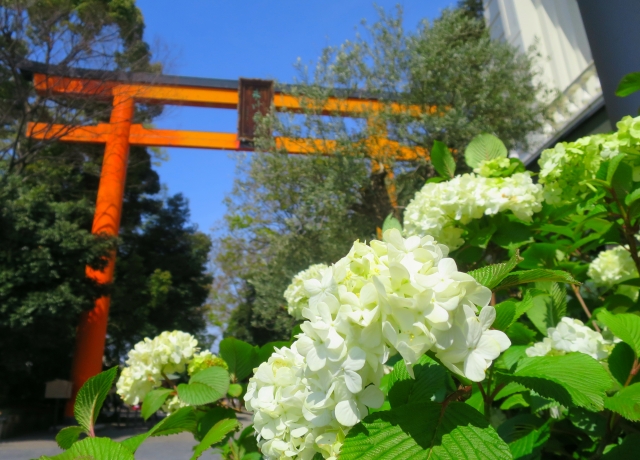 f:id:aya-sato:20190705225725j:plain f:id:aya-sato:20190705225725j:plain