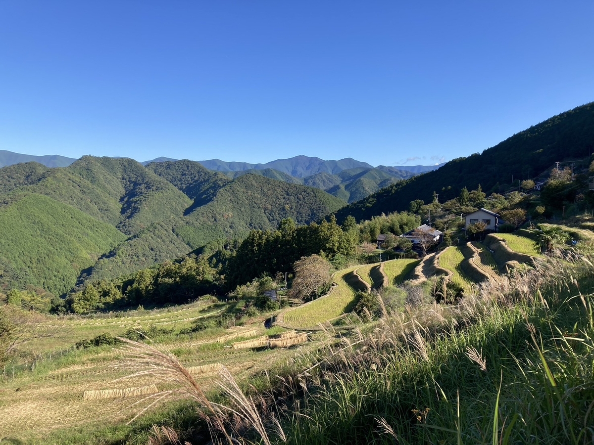 熊野古道】中辺路 滝尻王子〜熊野本宮大社 38.5kmを歩く。2つの道の