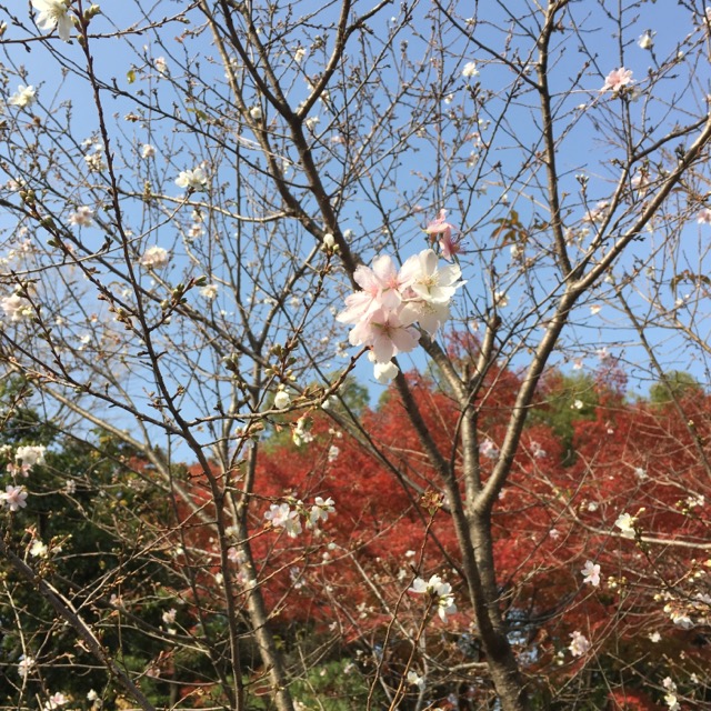 イメージ 1
