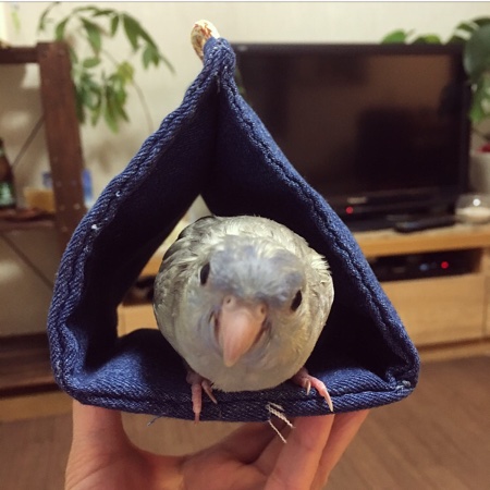 イメージ 2