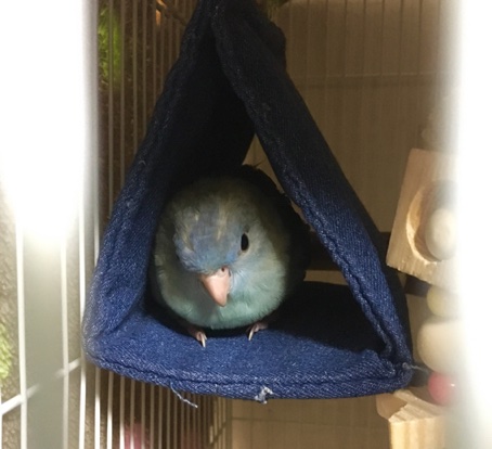 イメージ 5