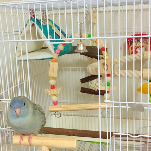 イメージ 7