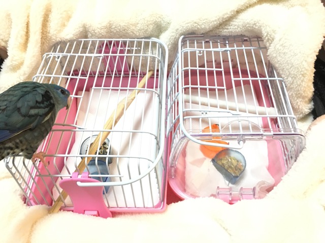 イメージ 4