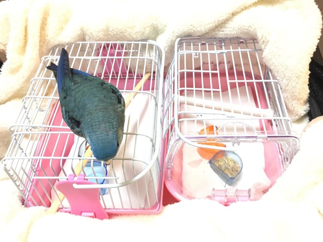 イメージ 6