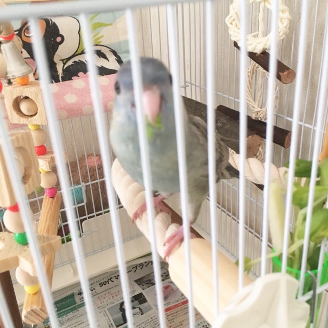 イメージ 3