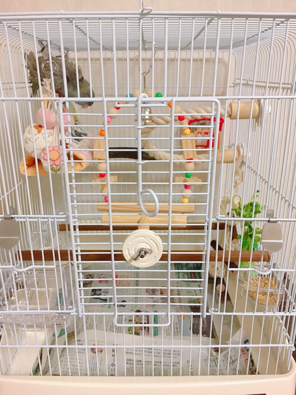 イメージ 3