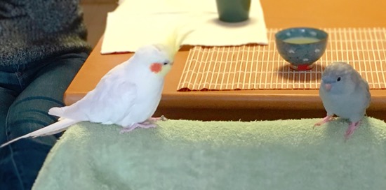 イメージ 9